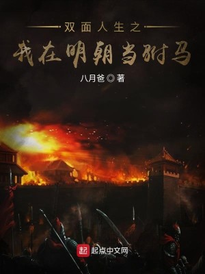 Bìa truyện Song Diện Nhân Sinh Chi Ngã Tại Minh Triêu Đương Phụ Mã (双面人生之我在明朝当驸马)
