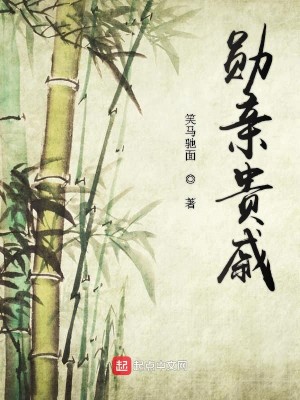 Bìa truyện Huân Thân Quý Thích (勋亲贵戚)