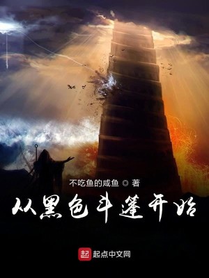Bìa truyện Tòng Hắc Sắc Đấu Bồng Khai Thủy (从黑色斗篷开始)
