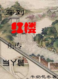 Bìa truyện Xuyên Đáo Hồng Lâu Tiền Truyện Đương Nha Hoàn (穿到红楼前传当丫鬟)