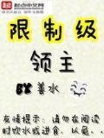 Bìa truyện Hạn Chế Cấp Lĩnh Chủ (限制级领主)