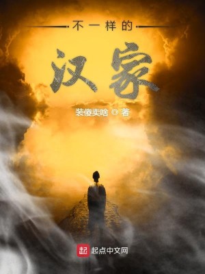 Bìa truyện Bất Nhất Dạng Đích Hán Gia (不一样的汉家)
