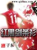 Bìa truyện Hồng Hắc Kiếm Điều Sam (红黑剑条衫)
