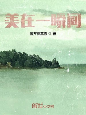 Bìa truyện Mĩ Tại Nhất Thuấn Gian (美在一瞬间)