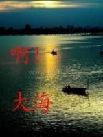 Bìa truyện A Đại Hải (啊大海)