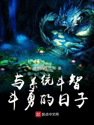 Bìa truyện Dữ Hệ Thống Đấu Trí Đấu Dũng Đích Nhật Tử (与系统斗智斗勇的日子)