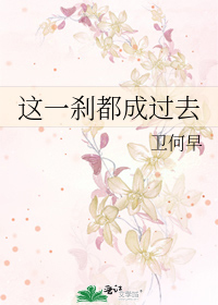 Bìa truyện Giá Nhất Sát Đô Thành Quá Khứ (这一刹都成过去)