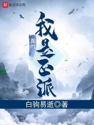 Bìa truyện Ngã Chân Đích Thị Chính Phái (我真的是正派)
