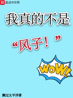 Bìa truyện Ngã Chân Đích Bất Thị Phong Tử (我真的不是风子)