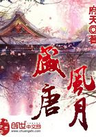 Bìa truyện Thịnh Đường Phong Nguyệt (盛唐风月)
