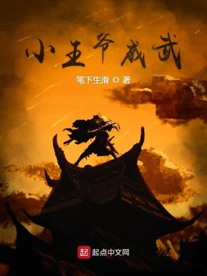 Bìa truyện Tiểu Vương Gia Uy Vũ (小王爷威武)