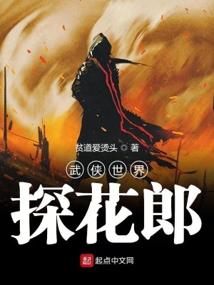 Bìa truyện Vũ Hiệp Thế Giới Thám Hoa Lang (武侠世界探花郎)