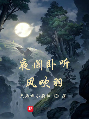 Bìa truyện Dạ Lan Ngọa Thính Phong Xuy Vũ (夜阑卧听风吹羽)