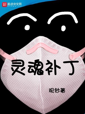 Bìa truyện Linh Hồn Bổ Đinh (灵魂补丁)