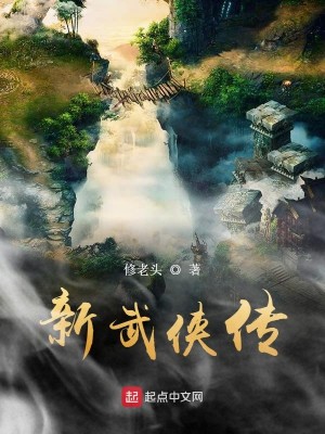Bìa truyện Tân Vũ Hiệp Truyện (新武侠传)