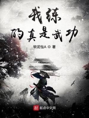 Bìa truyện Ngã Luyện Đích Chân Thị Vũ Công (我练的真是武功)