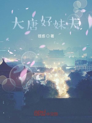 Bìa truyện Đại Đường Hảo Muội Phu (大唐好妹夫)