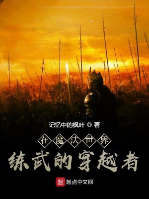 Bìa truyện Tại Ma Pháp Thế Giới Luyện Vũ Đích Xuyên Việt Giả (在魔法世界练武的穿越者)