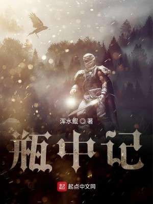 Bìa truyện Bình Trung Kí (瓶中记)