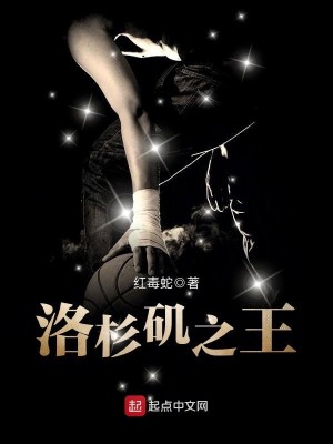 Bìa truyện Lạc Sam Ky Chi Vương (洛杉矶之王)