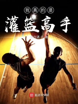 Bìa truyện Ngã Chân Đích Thị Quán Lam Cao Thủ (我真的是灌篮高手)