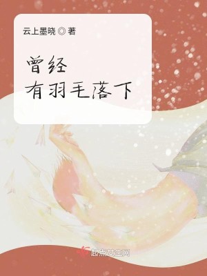 Bìa truyện Tằng Kinh Hữu Vũ Mao Lạc Hạ (曾经有羽毛落下)