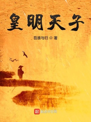 Bìa truyện Hoàng Minh Thiên Tử (皇明天子)
