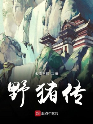 Bìa truyện Dã Trư Truyện (野猪传)