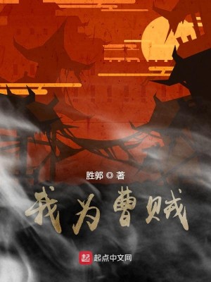 Bìa truyện Ngã Vi Tào Tặc (我为曹贼)