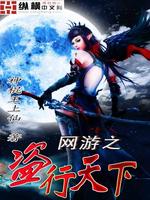 Bìa truyện Võng Du Chi Đạo Hành Thiên Hạ (网游之盗行天下)