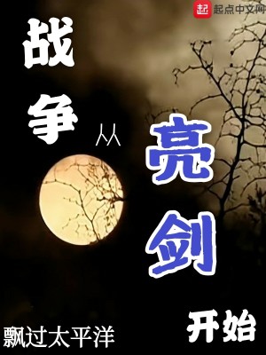Bìa truyện Chiến Tranh Tòng Lượng Kiếm Khai Thủy (战争从亮剑开始)