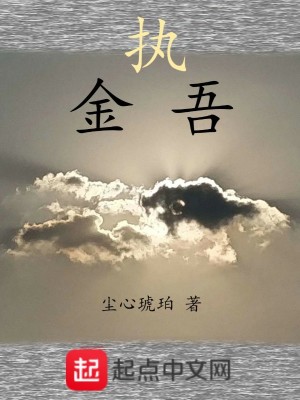 Bìa truyện Chấp Kim Ngô (执金吾)