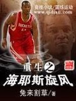 Bìa truyện Trọng Sinh Chi Hải Gia Tư Toàn Phong (重生之海耶斯旋风)