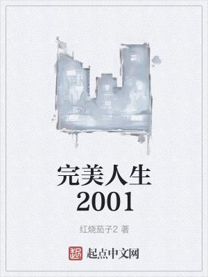 Bìa truyện Hoàn Mĩ Nhân Sinh 2001 (完美人生2001)