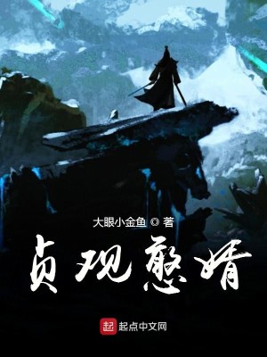 Bìa truyện Trinh Quan Hàm Tế (贞观憨婿)