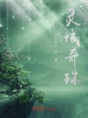 Bìa truyện Linh Vực Kì Châu (灵域奇珠)