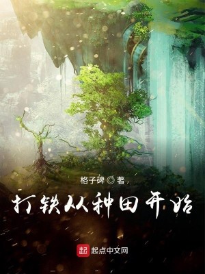 Bìa truyện Đả Thiết Tòng Chủng Điền Khai Thủy (打铁从种田开始)
