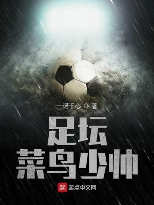 Bìa truyện Túc Đàn Thái Điểu Thiếu Soái (足坛菜鸟少帅)