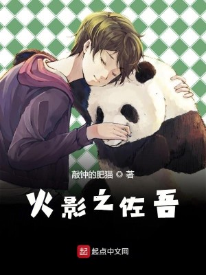 Bìa truyện Mộc Hiệp Chi Đại Xà Hoàn Truyện Nhân (木叶之大蛇丸传人)