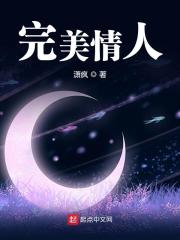 Bìa truyện Hoàn Mĩ Tình Nhân (完美情人)