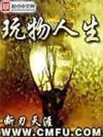 Bìa truyện Ngoạn Vật Nhân Sinh (玩物人生)