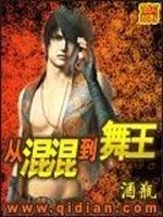 Bìa truyện Tòng Hỗn Hỗn Đáo Vũ Vương (从混混到舞王)
