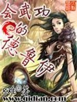 Bìa truyện Hội Vũ Công Đích Đức Lỗ Y (会武功的德鲁伊)