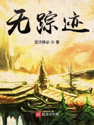 Bìa truyện Vô Tung Tích (无踪迹)