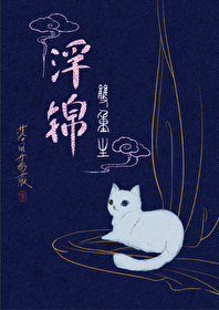 Bìa truyện Phù Cẩm Song Trọng Sinh (浮锦（双重生）)