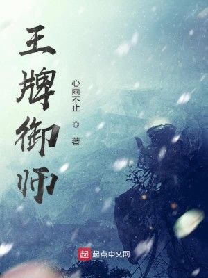 Bìa truyện Vương Bài Ngự Sư (王牌御师)