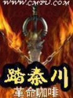 Bìa truyện Đạp Tần Xuyên (踏秦川)