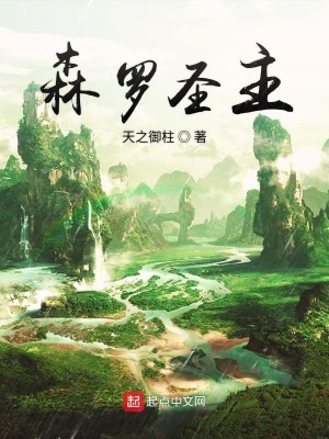 Bìa truyện Sâm La Thánh Chủ (森罗圣主)