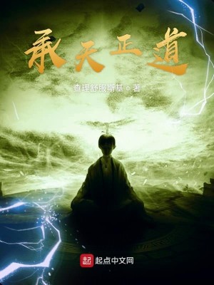 Bìa truyện Thừa Thiên Chính Đạo (承天正道)
