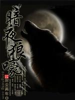 Bìa truyện Ám Dạ Lang Hào (暗夜狼嚎)